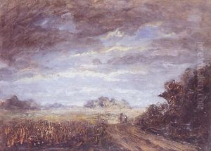Paysage Paysage