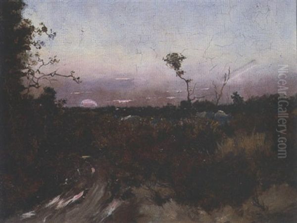 Paysage - view 1