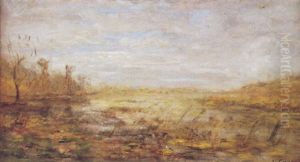 Paysage Paysage