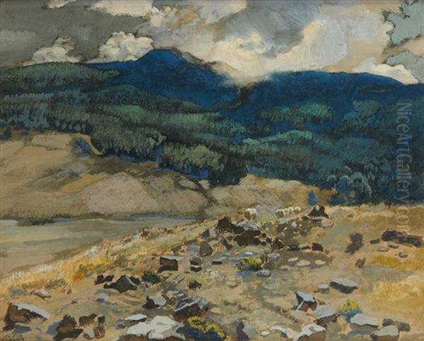 La Foret De L'akfadou- Kabylie - view 1