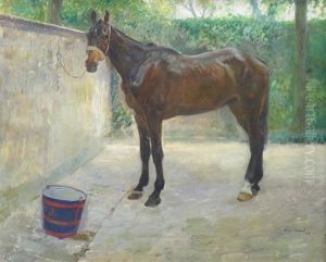 Cheval Au Pansage