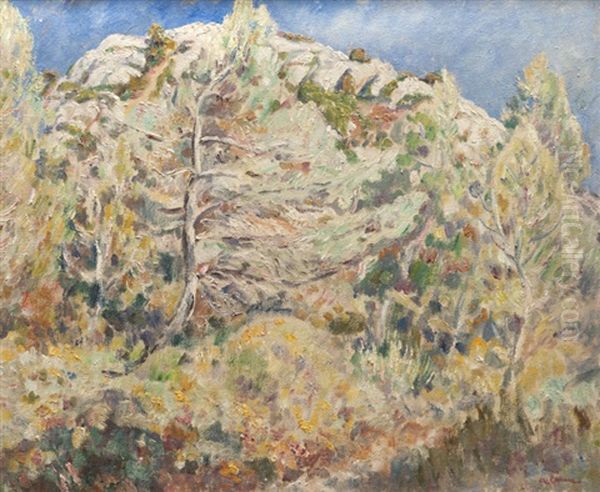 Dans La Garrigue - view 1