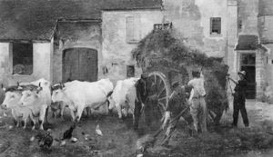 Cour De Ferme, Attelage De Boeufs