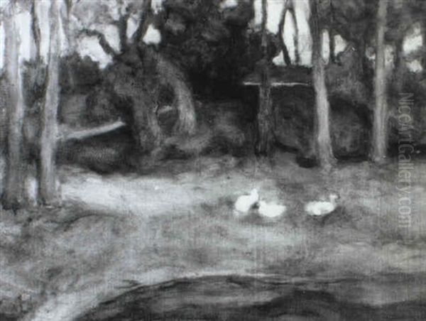 Canards Blancs Dans Un Paysage - view 1