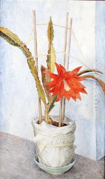 Flowering Cactus - view 1