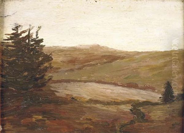 Paysage Au Sapin - view 1