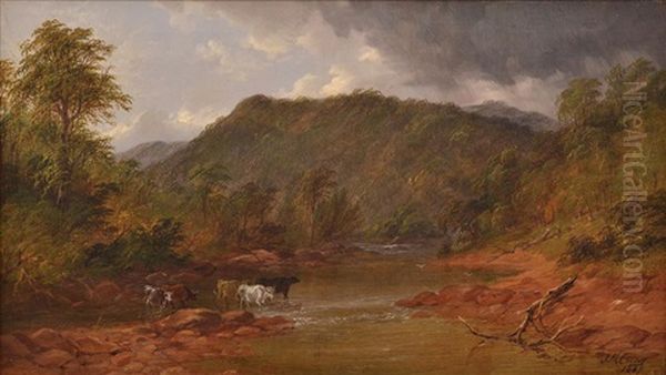 Cattle By The Lake - view 1