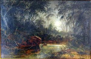 Moonlight, Creek .... On The Dromaderry