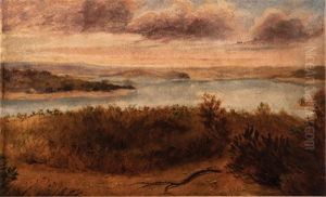 Sydney Harbour by James Howe Carse