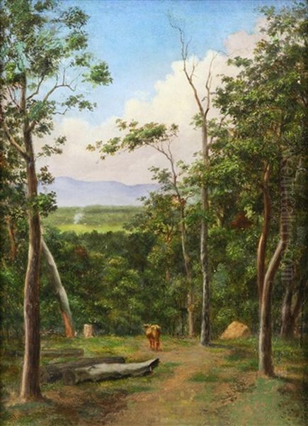 Rural Scene - view 1