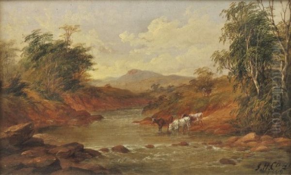 Riddells Creek, Victoria - view 1