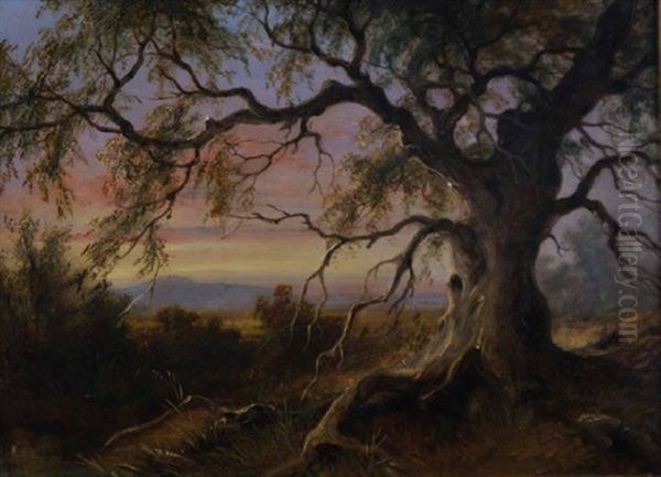 Old Gum Tree On Riddells Creek - view 1
