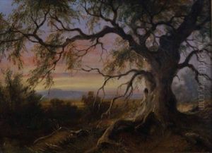 Old Gum Tree On Riddells Creek