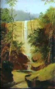 Willoughby Falls, N.s.w. by James Howe Carse