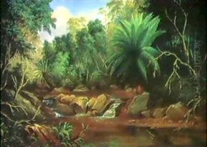 Creek Scene, Wagunga, Mount Dromedary, 1877