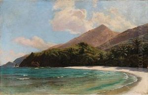 Scene From The Virgin Islands by Andreas Christian Riis Carstensen