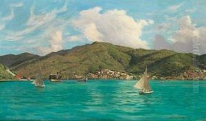 View From St. Thomas The Danish West Indies by Andreas Christian Riis Carstensen