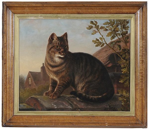 Mr. Dutchman's Cat On A Garden Wall - view 1