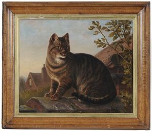 Mr. Dutchman's Cat On A Garden Wall