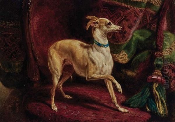 An Italian Greyhound On A Chair - view 1