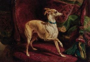 An Italian Greyhound On A Chair by Samuel John Carter