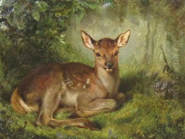 A Fawn - view 1