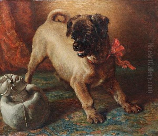 Pug Puppy - view 1