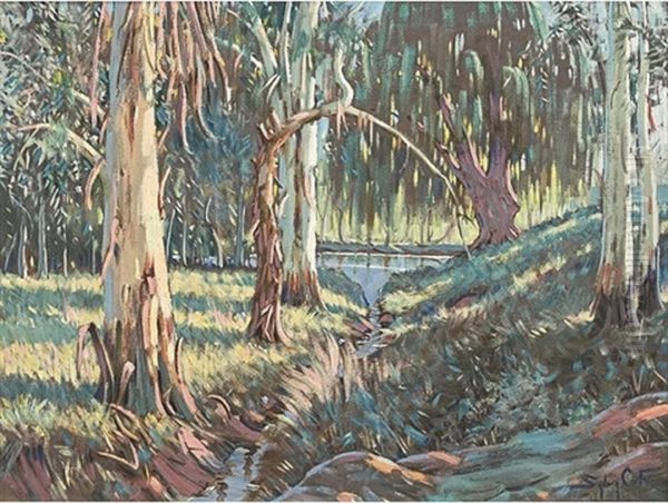 Blue Gums - view 1