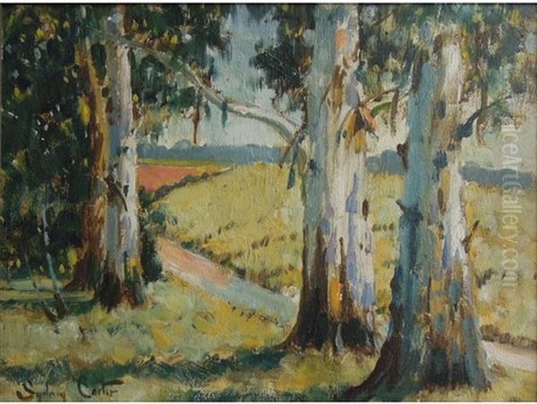 Blue Gums - view 1