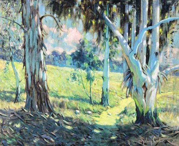 Large Blue Gums - view 1