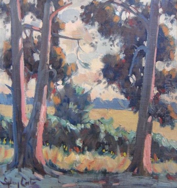 Blue Gums - view 1