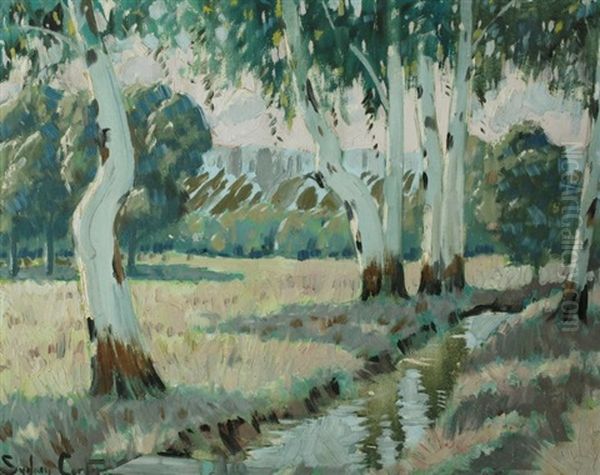 Gum Trees By A Stream - view 1
