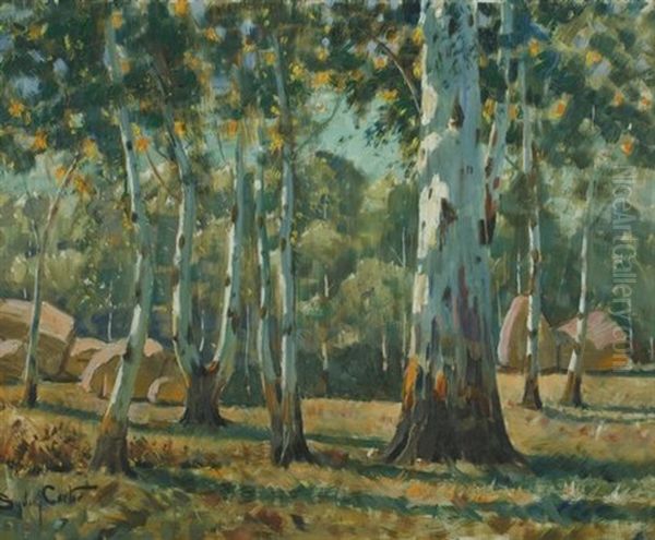 Bluegums, Parys - view 1