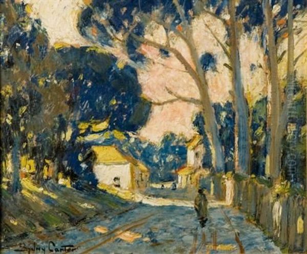 A Road Near Claremont, Cape - view 1