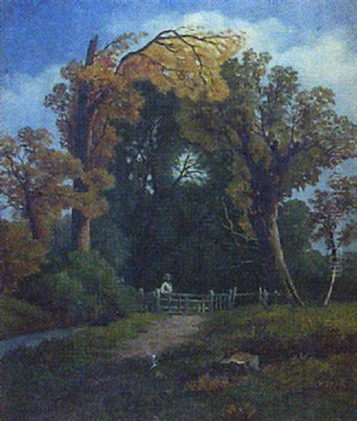 Near Fenny Compton - view 1