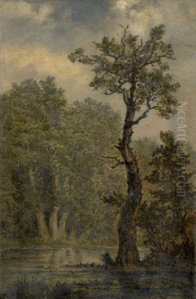 Waldlandschaft - view 1