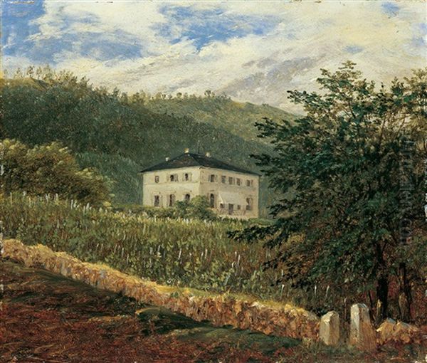 Die Konigliche Villa In Wachwitz Bei Dresden - view 1
