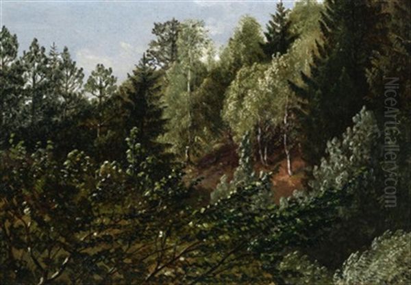 Waldstudie Bei Dresden - view 1