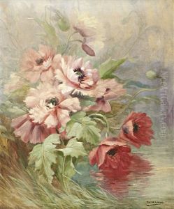 Papoilas by Enrique Casanova