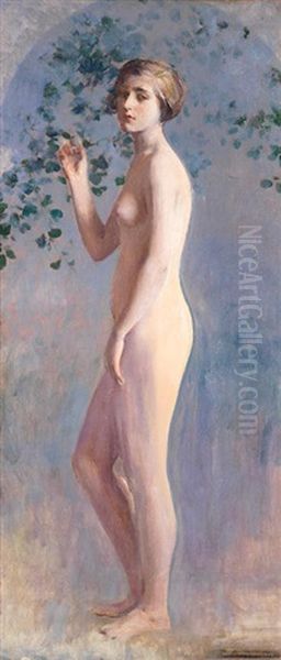 Desnudo - view 1