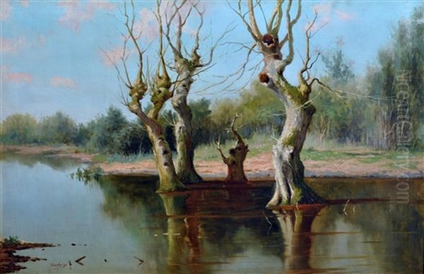 Alberi Sul Lago - view 1