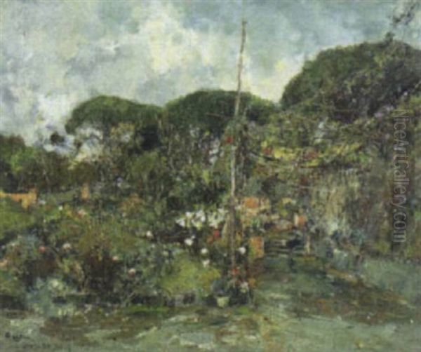 Fiori Di Ottobre, Ischia - view 1