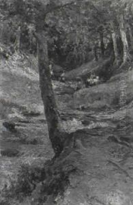 La Sorgente Nel Bosco Di S. Cataldo In Basilicata