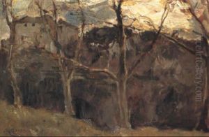 Woodland Scene Woodland Scene