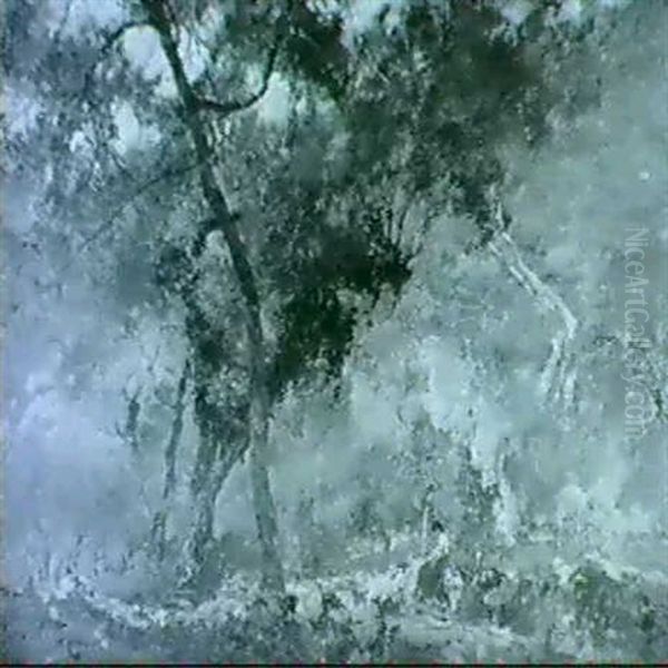 A Rest In The Wood - view 1