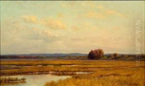 Autumn Marshes