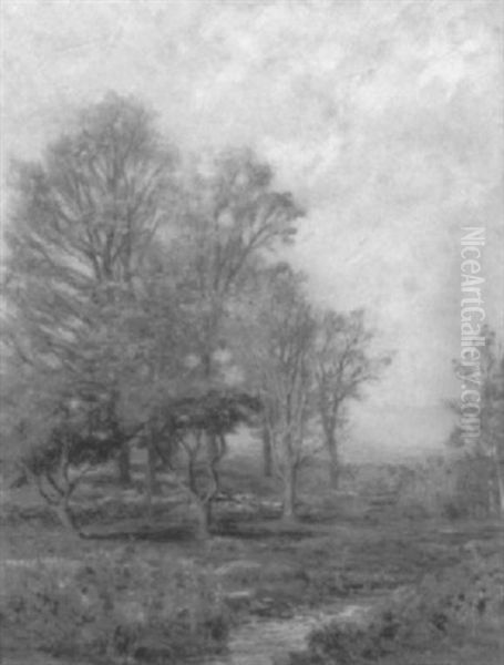 Fall Landscape - view 1