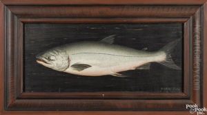 Atlantic Salmon by Herbert Cash