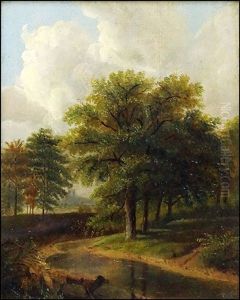 Summer Landscape Summer Landscape