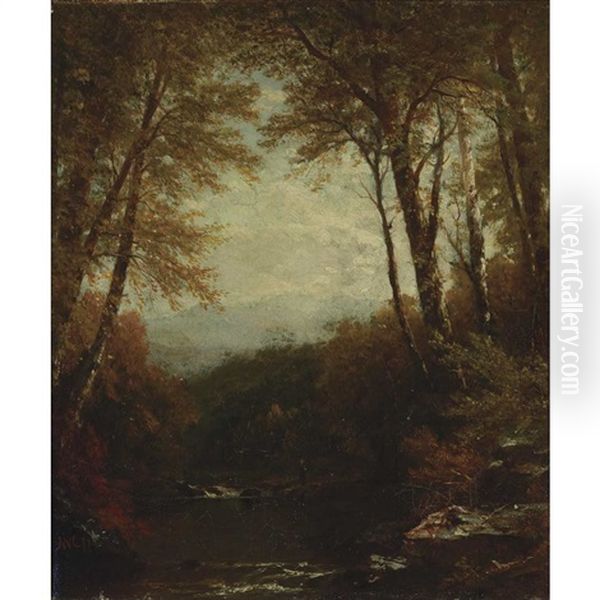 Woodland Scene - view 1